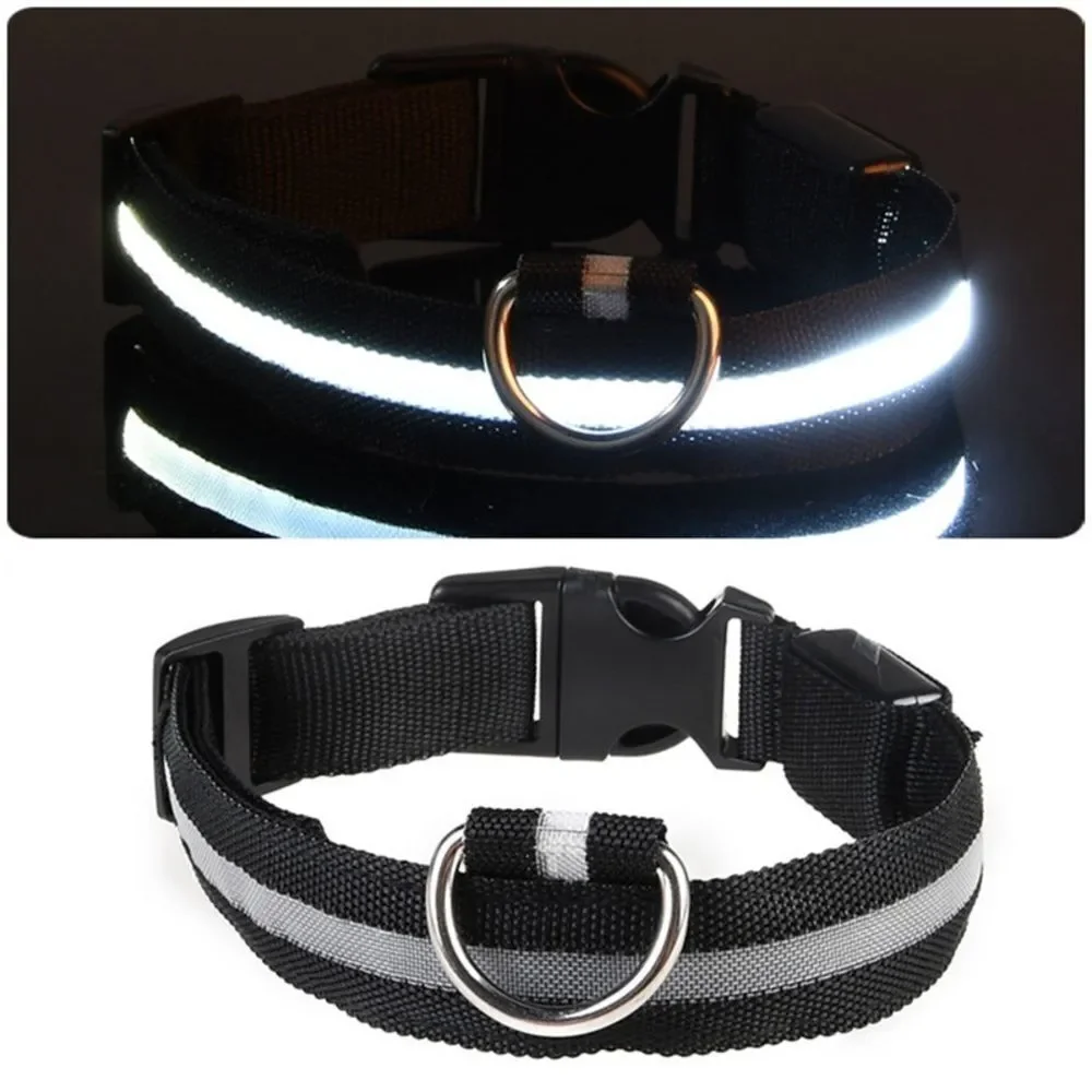 ⛔️CLEARANCE ⛔️LED Night Jog Dog Collar